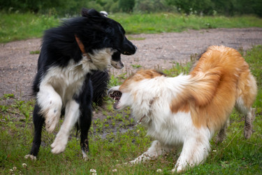 Similar image 22477552