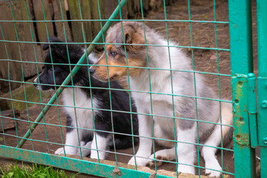 Similar image 22477554