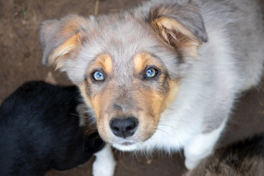 Similar image 22477556