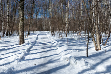 Similar image 22477557