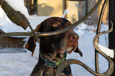 Similar image 22477558