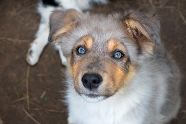 Similar image 22477559