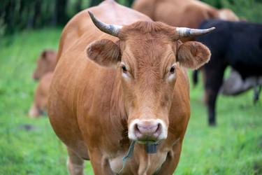 Similar image 22477561