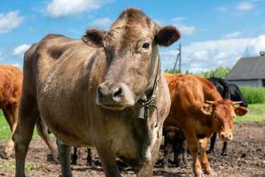 Similar image 22477562