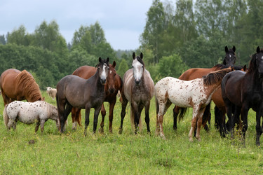 Similar image 22477564