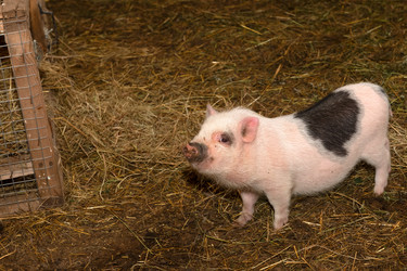 Similar image 22477565