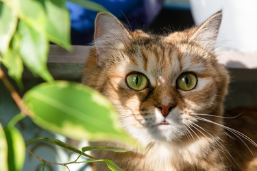 Similar image 22492194