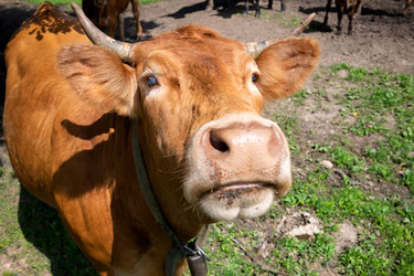 Similar image 22477566