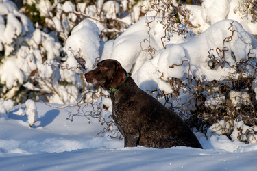 Similar image 22477567