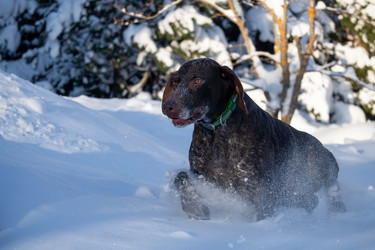 Similar image 22477568