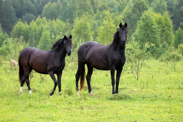 Similar image 22477570