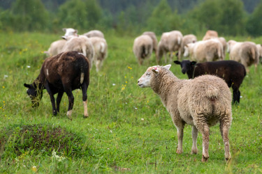 Similar image 22477573