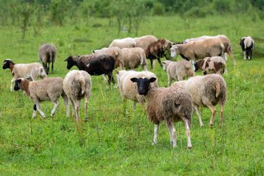 Similar image 22477574