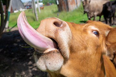 Similar image 22477577