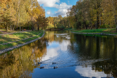 Similar image 22477578