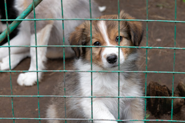 Similar image 22477579