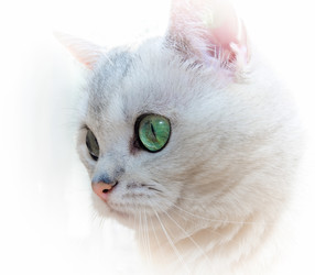 Similar image 22477581