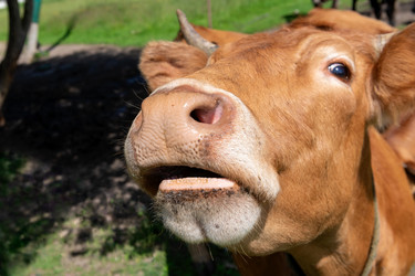 Similar image 22477582