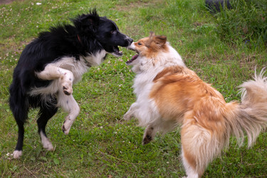 Similar image 22477583