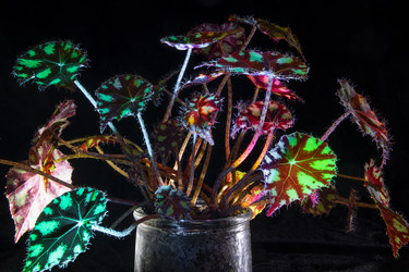 Similar image 22477585