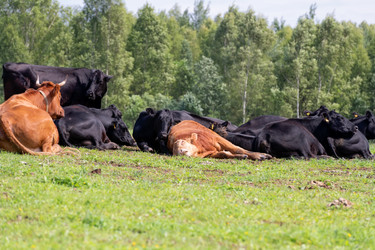 Similar image 22477586