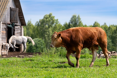 Similar image 22477587