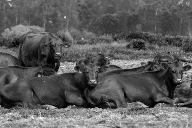 Similar image 22477588