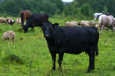 Similar image 22477589