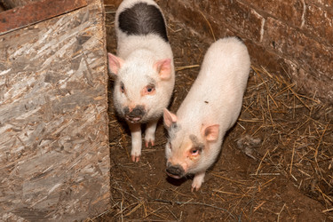 Similar image 22477591