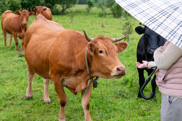 Similar image 22477592