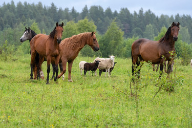 Similar image 22477593