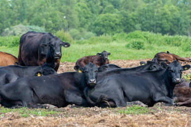 Similar image 22477594