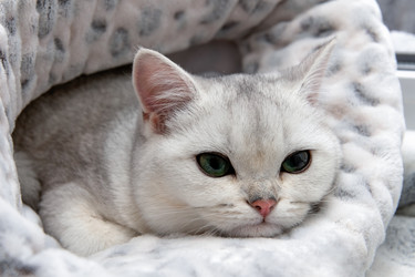 Similar image 22492231