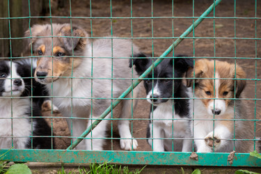 Similar image 22477595