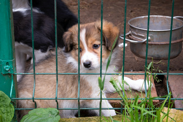 Similar image 22477596