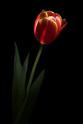 Similar image 22492233