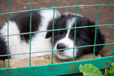 Similar image 22477601