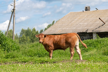 Similar image 22477602