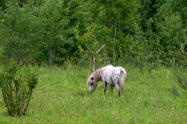 Similar image 22477603