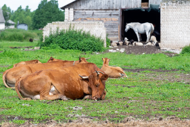 Similar image 22492246