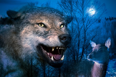 Similar image 22477605