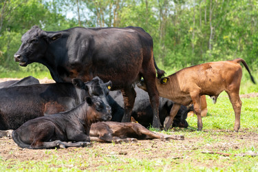 Similar image 22477608