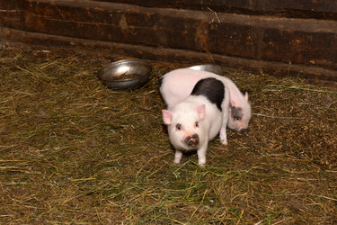 Similar image 22477610