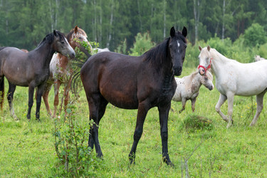 Similar image 22477611