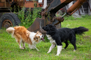 Similar image 22477612