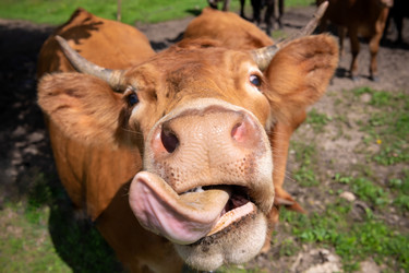 Similar image 22477616