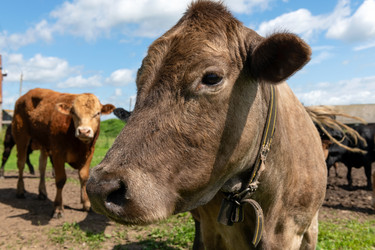 Similar image 22477617