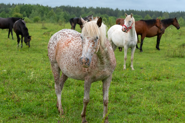 Similar image 22477618