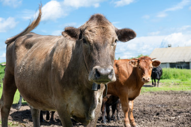 Similar image 22477619