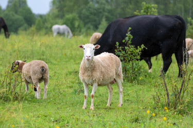 Similar image 22477620